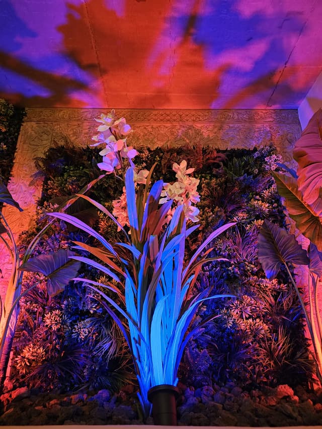 Image 23